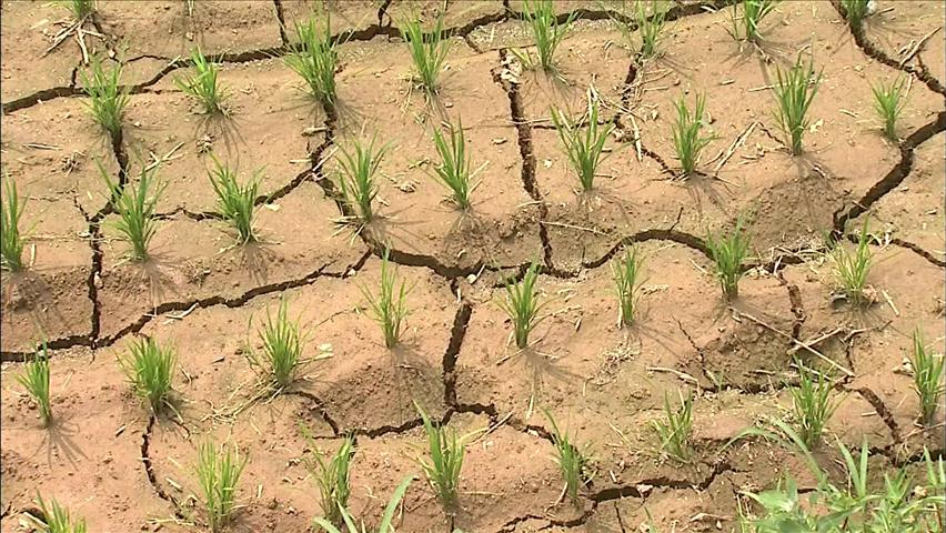 중부 ‘최악의 가뭄’ 계속…갈수록 피해 눈덩이