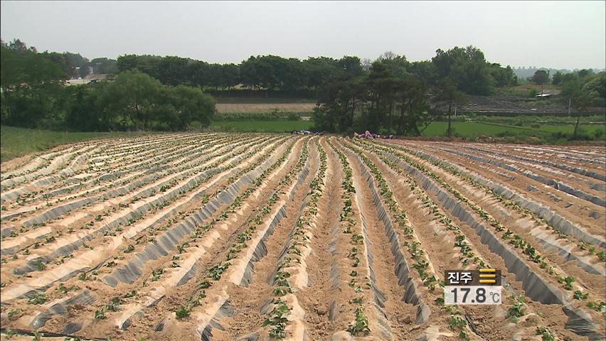 중부지방 가뭄 장기화…해갈은 언제쯤?