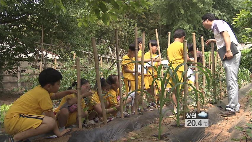 “도심 학교서 텃밭 가꿔요”…정서 함양 도움