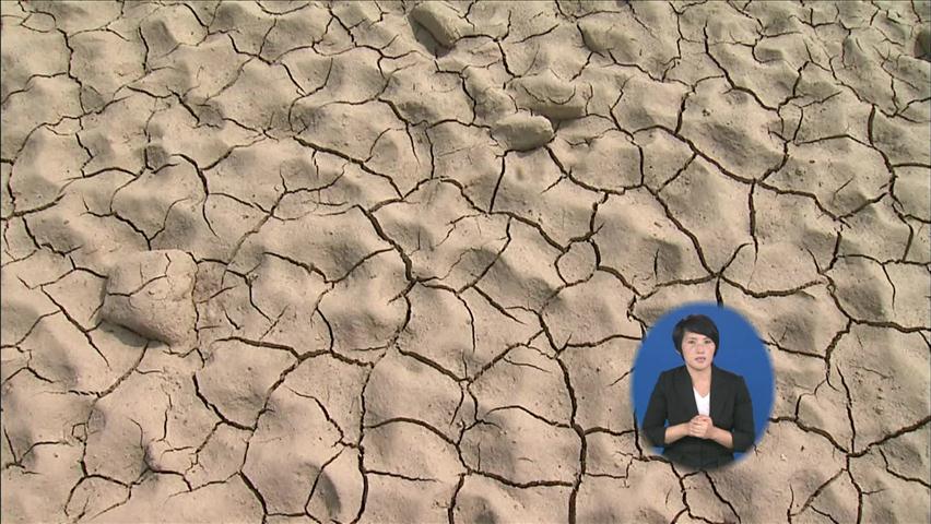 전국 가뭄 심각…저수지 285곳 고갈