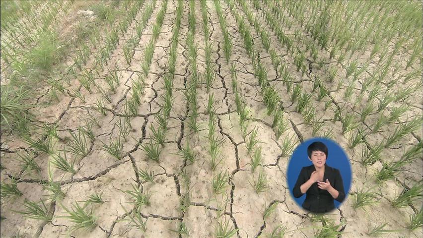 극심한 가뭄…농촌 용수 확보 초비상