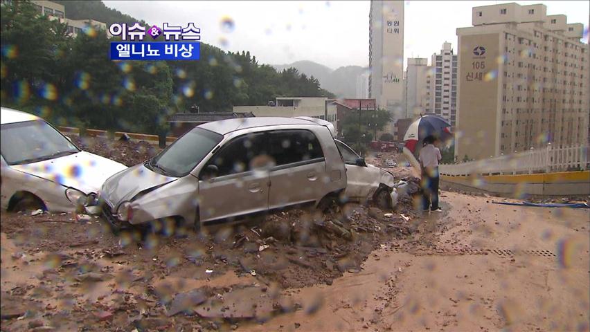 [이슈&뉴스] 엘니뇨 징후…세계 곳곳 ‘기상이변’