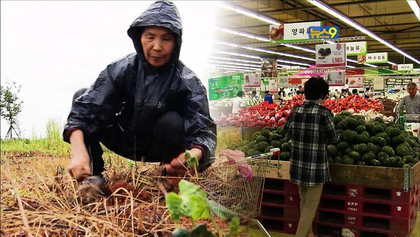 단비 가치 1,115억 원…농산물값 안정 아직 부족