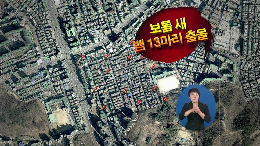 서울 주택가 또 뱀 소동…원인은?