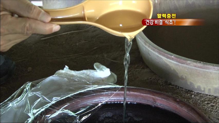 [활력충전] ‘천연식초’로 여름 건강 지키세요!