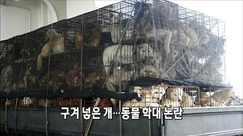 [인터넷 광장] 구겨 넣은 개…동물학대 논란 外