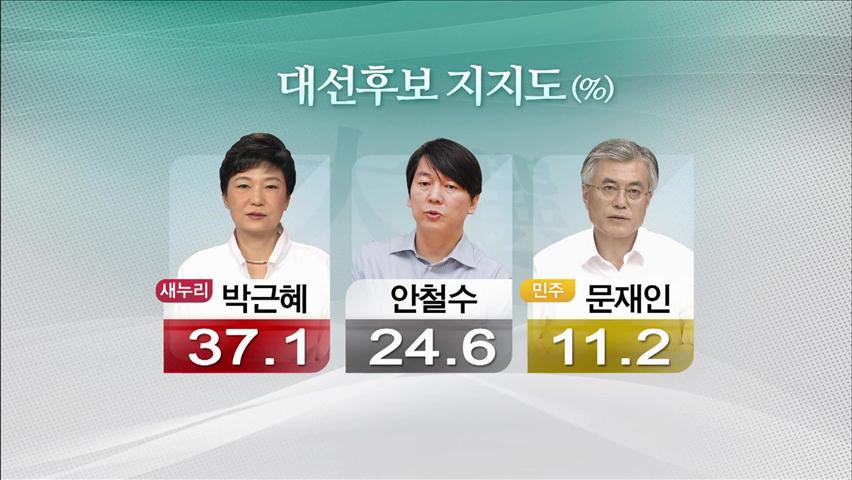 [대선 여론조사] 박근혜 1위…안철수와 초박빙