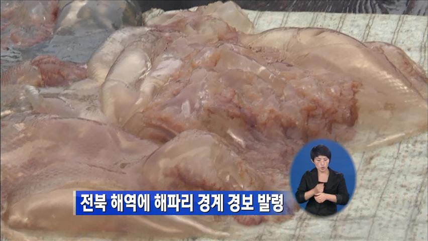 전북 해역에 해파리 경계 경보 발령