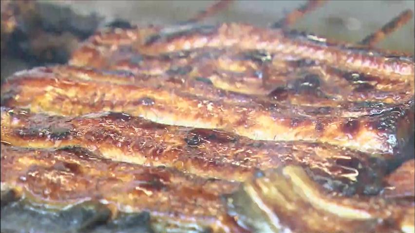 日, ‘보양식’ 장어 확보 비상…美 수입 제동
