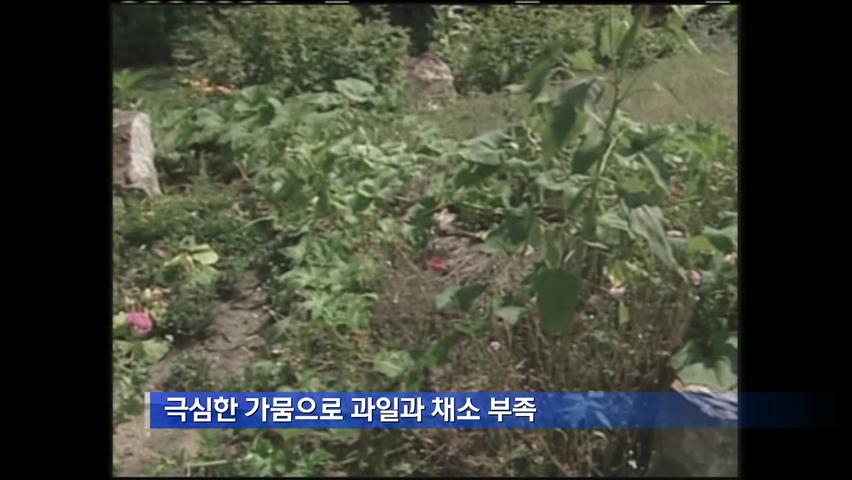 가뭄으로 메뉴 바꾸는 식당들