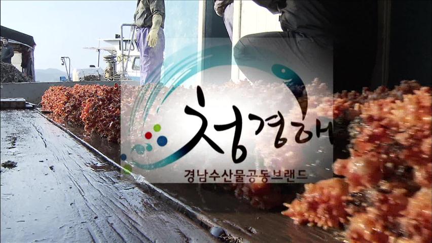 경남 우수 수산물 브랜드 ‘청경해’
