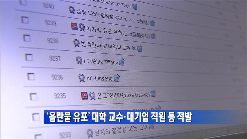 ‘음란물 유포’ 대학 교수·대기업 직원 등 적발