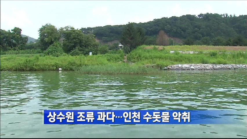 상수원 과다…인천 수돗물 악취