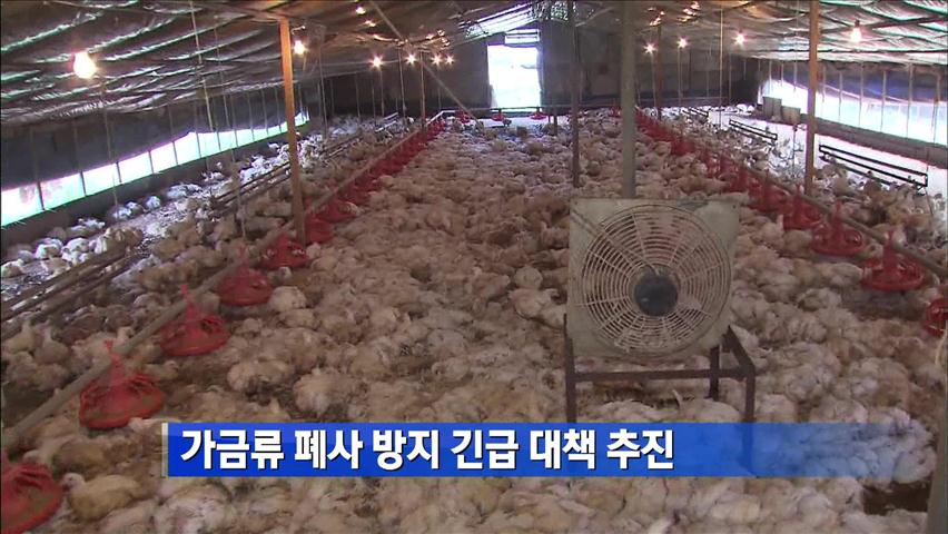 가금류 폐사방지대책 마련키로