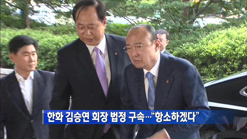 한화 김승연 회장 법정 구속…“항소하겠다”