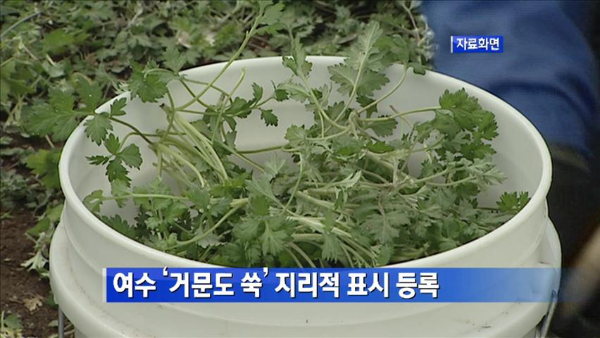 여수 ‘거문도 쑥’ 지리적 표시 등록