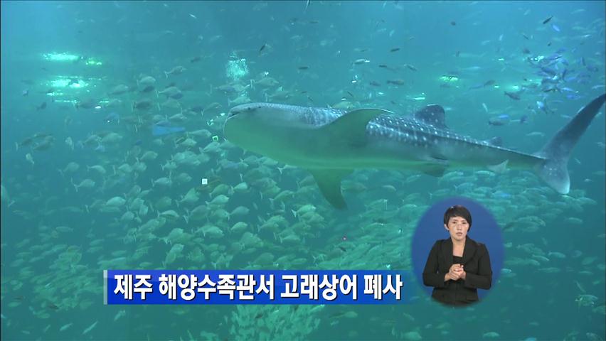 제주 해양수족관서 고래상어 폐사