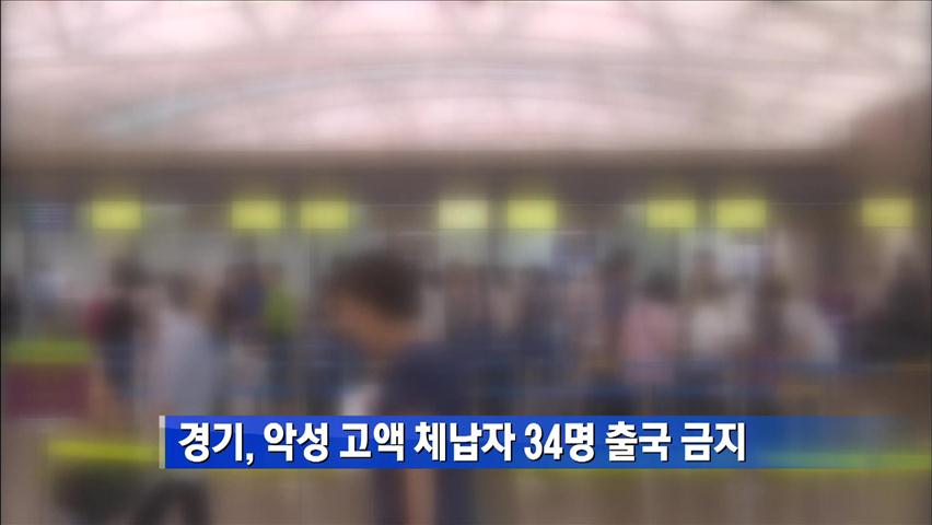 악성 고액체납자 34명 출국금지