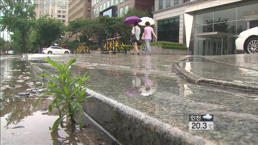 충청·남해안 국지성 호우…최고 100㎜ 더 온다