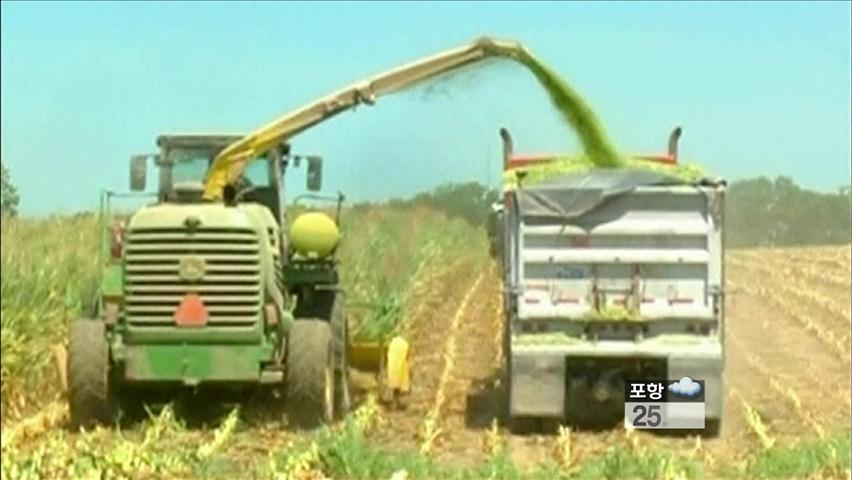 美 중부, 50년 만에 대가뭄…농가 고통