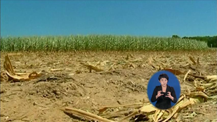 美 중부, 50년 만에 대가뭄…농가 고통