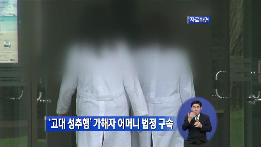 ‘고대 성추행’ 가해자 어머니 법정 구속