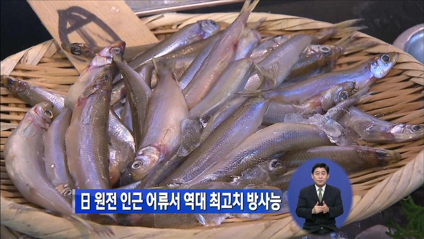 日 원전 인근 어류서 역대 최고치 방사능