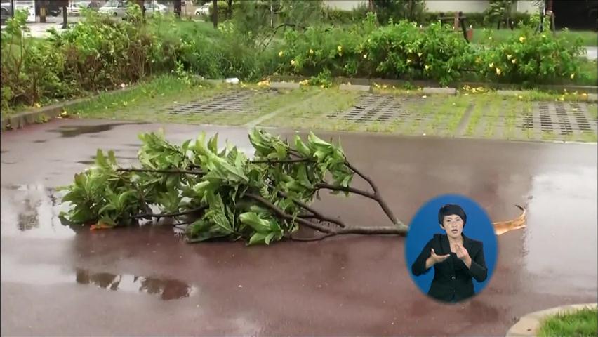 일본 태풍 피해 속출…6만 5천여 가구 정전