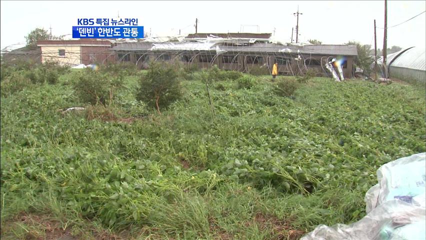 바람에 찢긴 농촌 이번엔 침수 피해