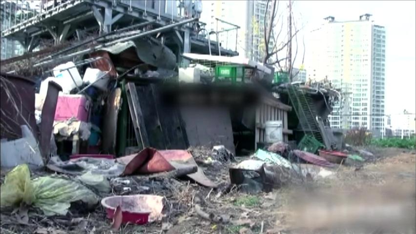 동물 긴급구조, ‘절도죄 처벌’ 논란