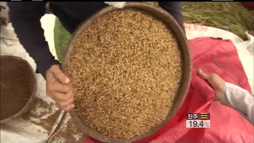 인도차이나 쌀 카르텔 움직임…쌀값 통제 우려