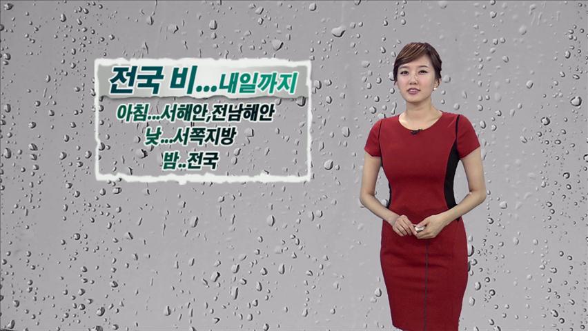 전국 내일 오전까지 비…최고 80mm