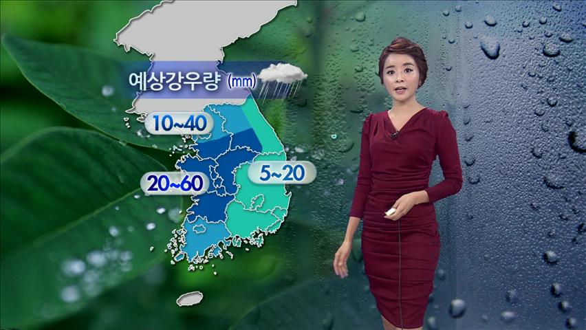 경기 남부 시간당 40㎜ 국지성 호우…내일 새벽 그쳐