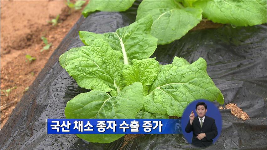 국산 채소 종자 수출 증가