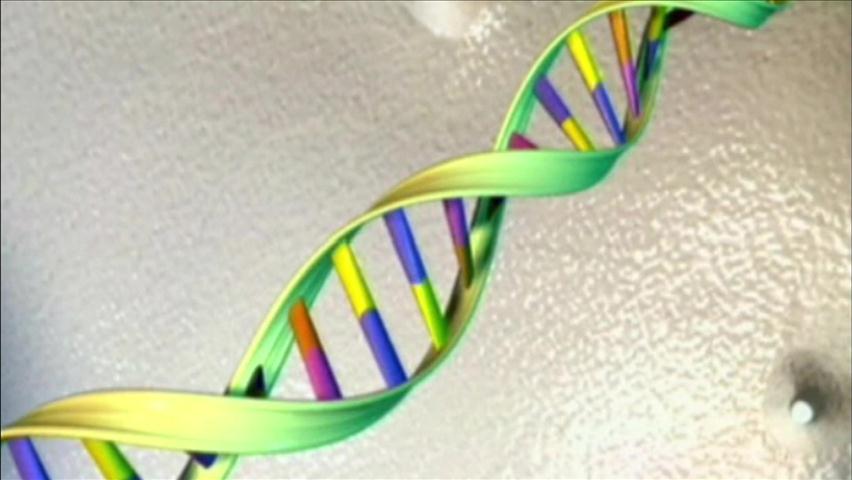 비밀 풀린 인간 DNA…“질병 치료 획기적 계기”
