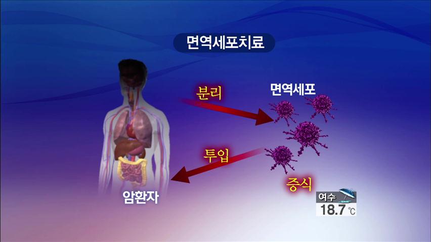 차세대 암치료법 ‘면역세포치료’ 상용화 임박