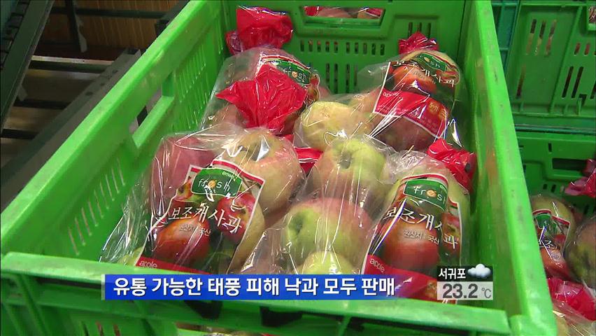 [생생경제] 소비촉진운동 낙과 사과 다 팔아