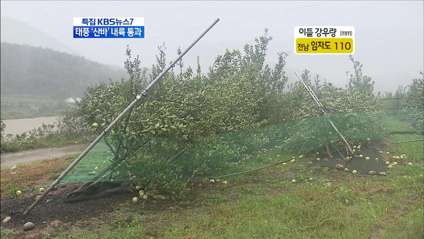 ‘순간 돌풍’ 안동에서만 12헥타르 과수원 피해