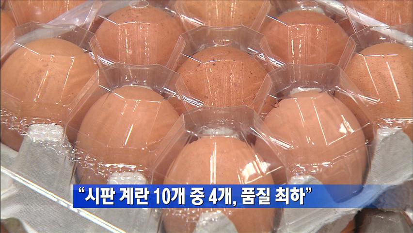 “시판 계란 10개 중 4개, 품질 최하” 外