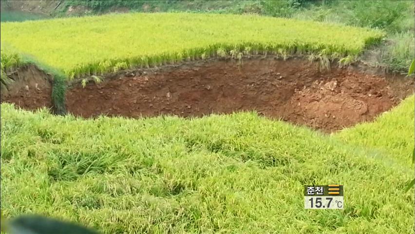 매일 1m씩 커지는 ‘공포의 웅덩이’…주민 불안