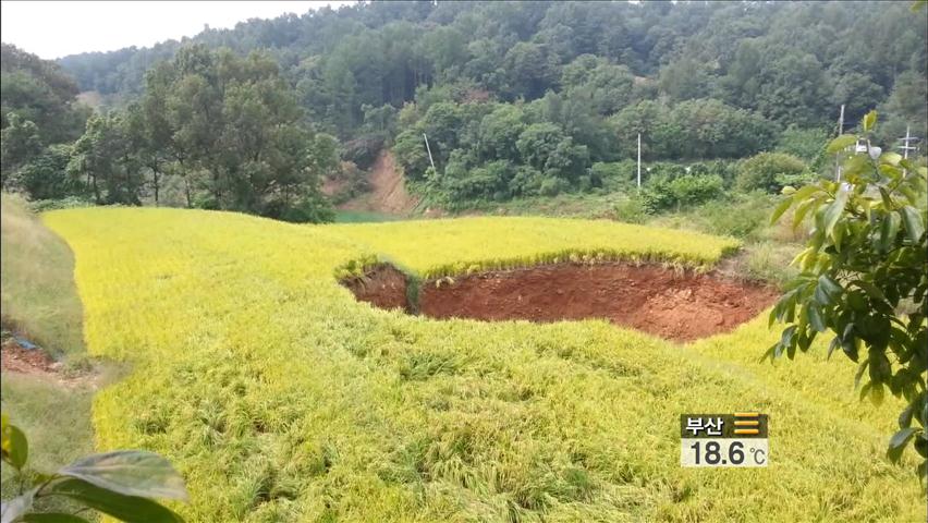 매일 1m씩 커지는 공포의 웅덩이…주민 불안