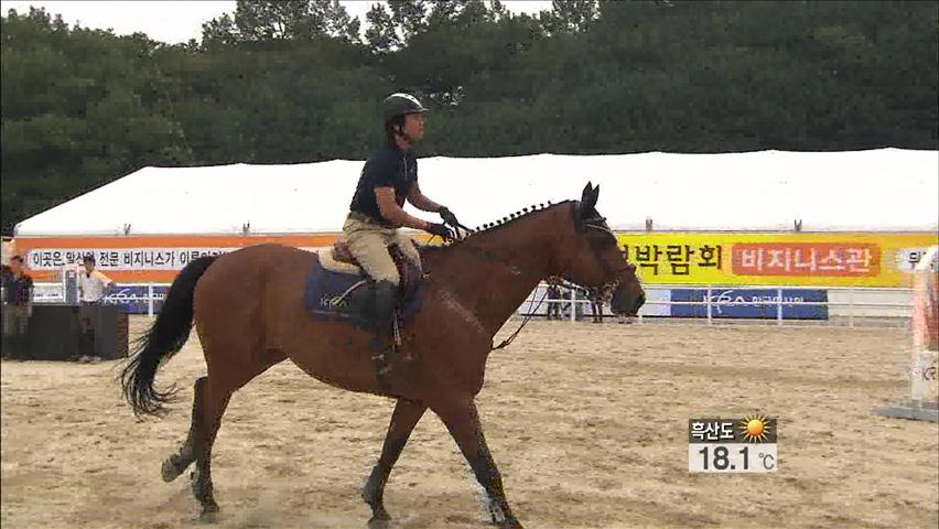 ‘레저부터 힐링까지’ 블루오션 말 산업 뜬다!