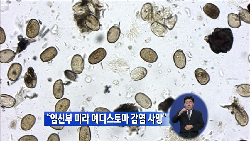 “조선시대 임신부 미라, 폐디스토마 감염 사망”