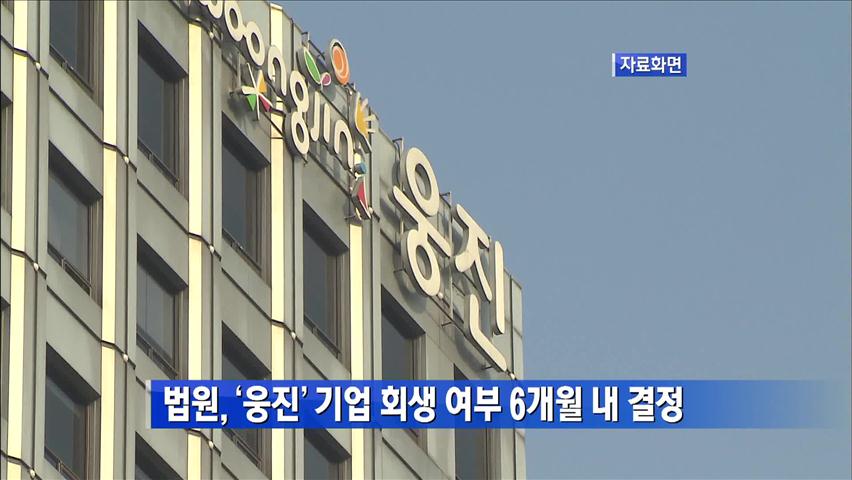 법원, 웅진 기업회생 여부 6개월내 결정