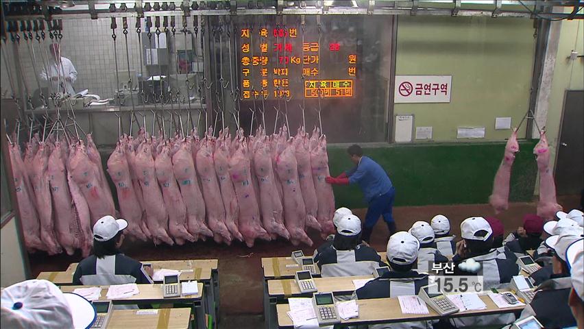 [생생경제] 돼지고기 가격 하락…연초 절반 이하