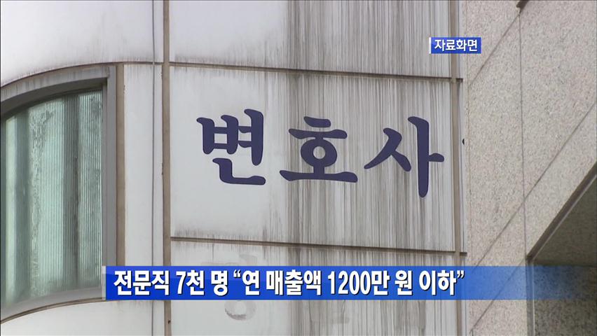 전문직 7천 명 “연 매출액 1200만 원 이하”