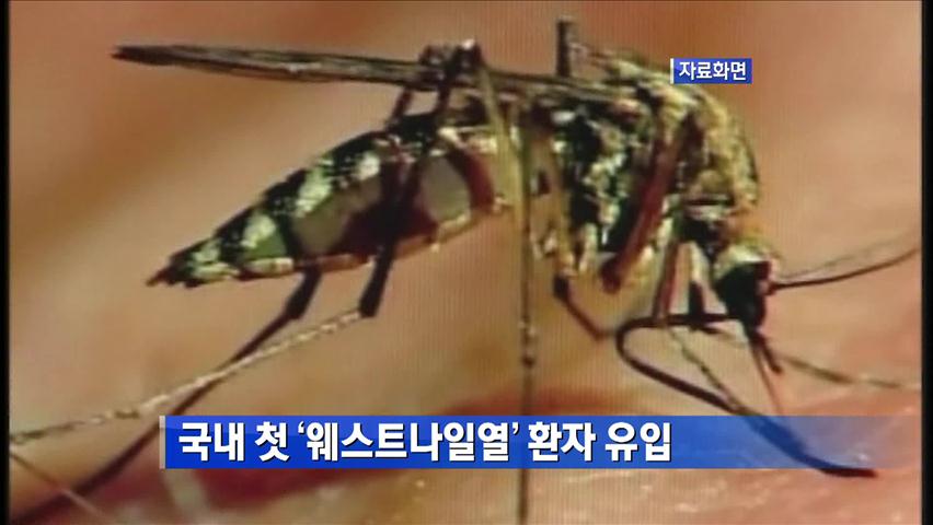 [간추린 단신] 국내 첫 ‘웨스트나일열’ 환자 유입 外