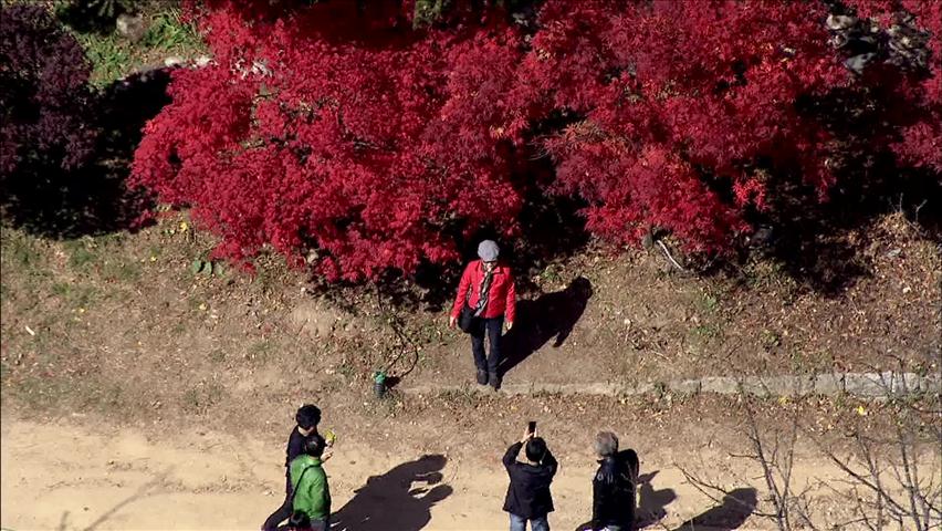 산·관광지 붉은 단풍 물결 절정…가을 ‘만끽’