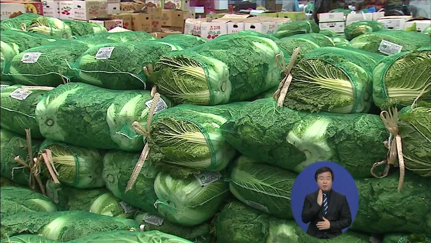채소 가격 급등…주부들 김장물가 ‘걱정’