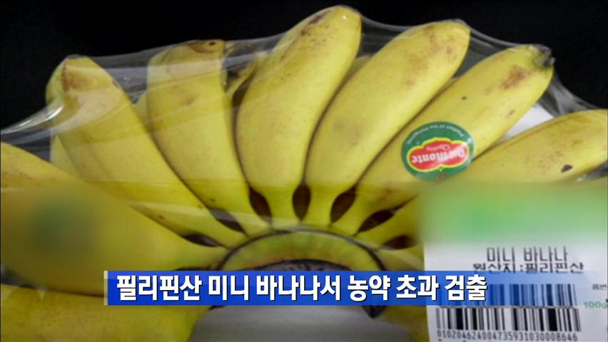 필리핀산 미니 바나나서 농약 초과 검출